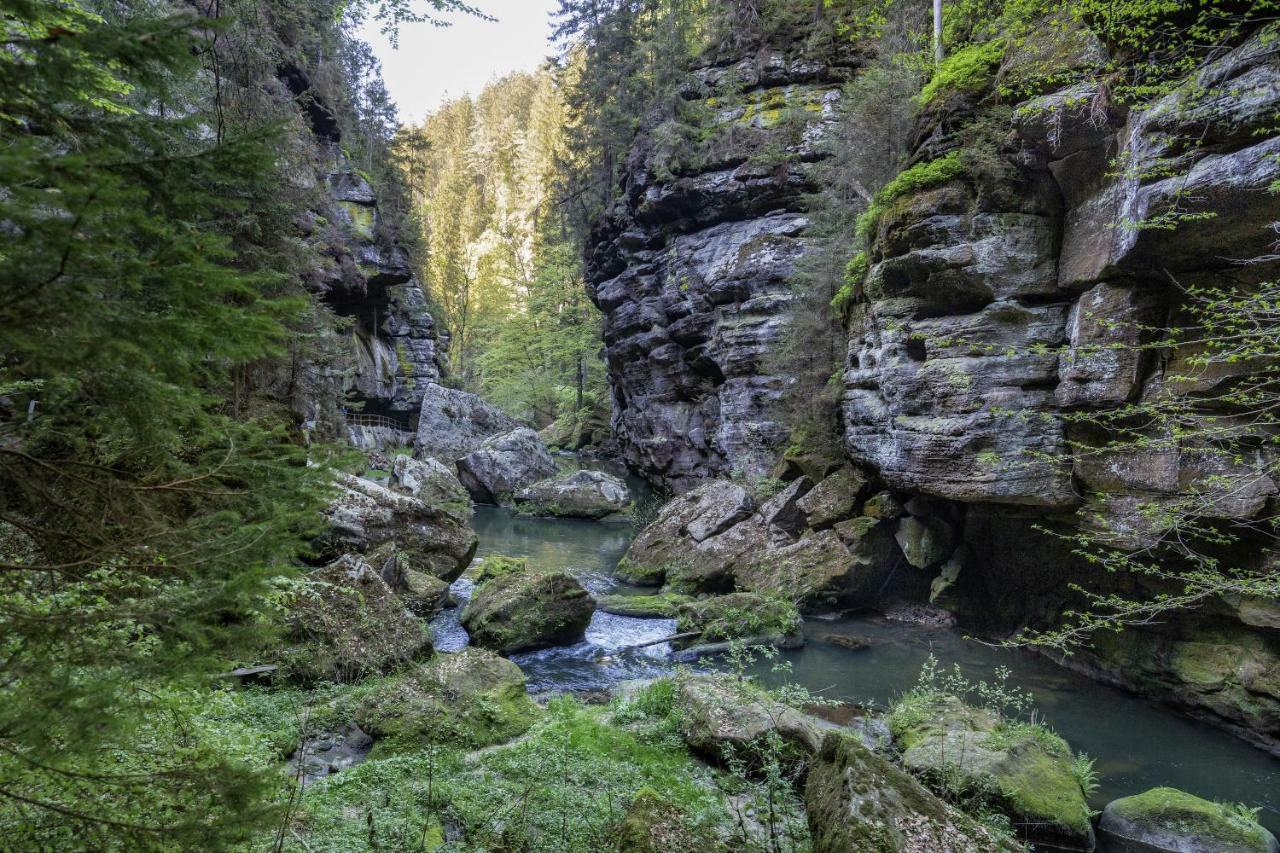 Ferienwohnungen Elbjuwel Rathen Exteriör bild